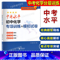 化学 九年级/初中三年级 [正版]中考化学分层训练 中考水平初中化学专项训练与模拟试卷 上海版配套 经典题型精练核心真题