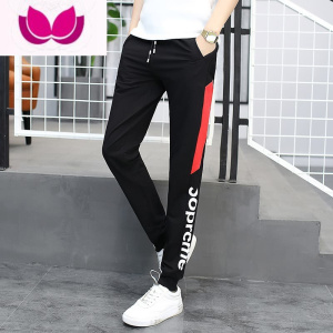 七斓裤子男2023新款韩版潮流修身帅气九分运动裤流行休闲裤男潮