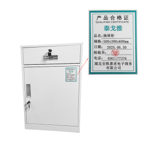 泰戈雅 抽屉柜 500x390x600mm 张