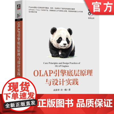 正版 OLAP引擎底层原理与设计实践 高英举 许一腾 数据库 数据分析 大数据 数据架构 分布式计算 即席查询 联
