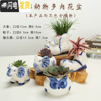 三维工匠多肉花盆陶瓷创意个性粗陶肉肉植物盆器大口径小花盆 蓝彩动物盆(5个) 中小花盆容器