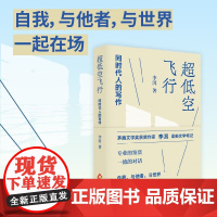 超低空飞行 同时代人的写作 李洱 著 文学鉴赏