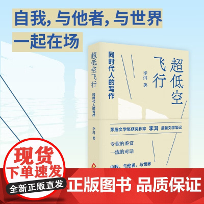 超低空飞行 同时代人的写作 李洱 著 文学鉴赏