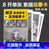 熊飞素描静物8开高清临摹卡 [正版]熊飞素描静物8开高清临摹卡 成人初学者素描速写绘画技法 收录40幅近距离临摹卡片结构