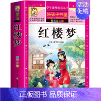 红楼梦 [正版]四大名著 红楼梦西游记水浒传三国演义7-12岁小学生版彩图加注音小学生版一年级二年级儿童课外阅读名著书籍