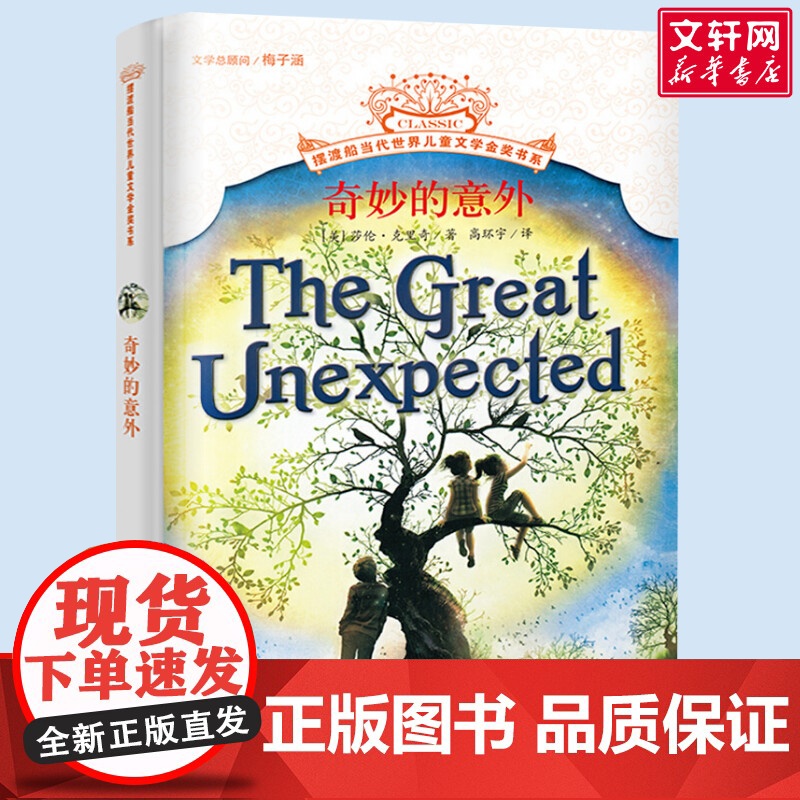 奇妙的意外 摆渡船当代世界儿童文学金奖书系 小学生二年级三年级课外书阅读书籍纽伯瑞获奖国外经典寒暑假书目新华正版