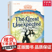 奇妙的意外 摆渡船当代世界儿童文学金奖书系 小学生二年级三年级课外书阅读书籍纽伯瑞获奖国外经典寒暑假书目新华正版