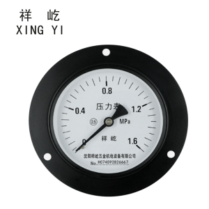 祥屹 压力表轴向带边 Y60ZT 压力值备注 块