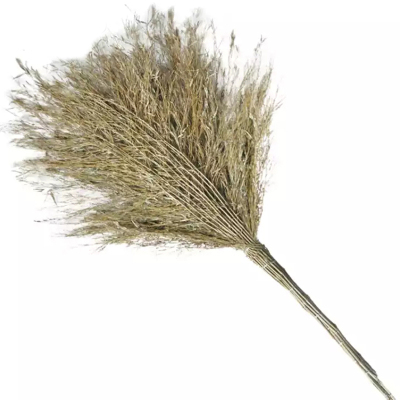 铁义 竹扫把 ( 10把装) 2kg 件