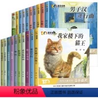 百年经典儿童文学[全套20册] [正版]百年经典儿童文学冰心奖名家名作系列 我家楼下的猫王魔法学校小学生课外书阅读书籍三