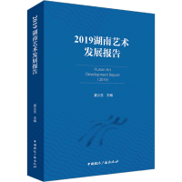 音像2019湖南艺术发展报告夏义生 编