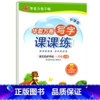 写字课课练.一上 [正版]写字课课练 一二年级三四年级五六年级上册下册语文同步练字帖人教版小学生字帖练字本一课一练字帖硬
