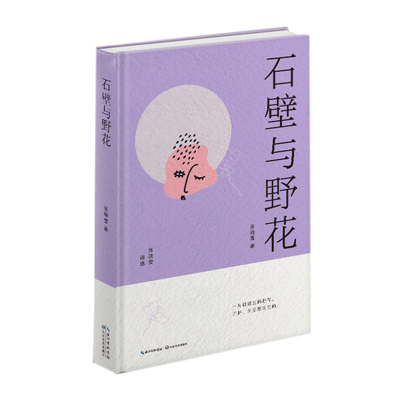 正版新书]石壁与野花张晓雪 著9787570228133