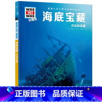 海底宝藏 [正版]海底宝藏