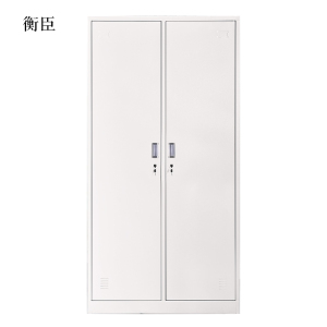 衡臣加厚二门钢制更衣柜员工柜铁皮职工储物柜带锁存包柜鞋柜