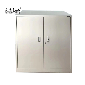 亚太飞鸿-铁鞋柜-TXG-1051-个