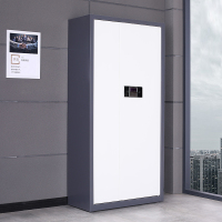 翌嘉 YJ-20059 保密柜套色档案柜资料柜通门电子密码锁