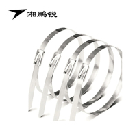 湘鹏锐 防护栅栏扎带(304不锈钢) 10*700mm 条