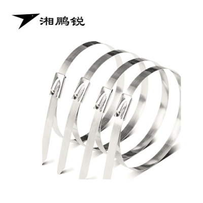 湘鹏锐 防护栅栏扎带(304不锈钢) 10*700mm 条