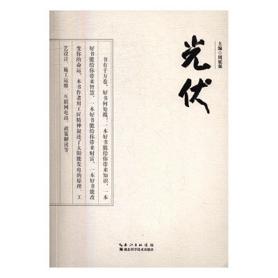 正版新书]光伏周延强9787535291189