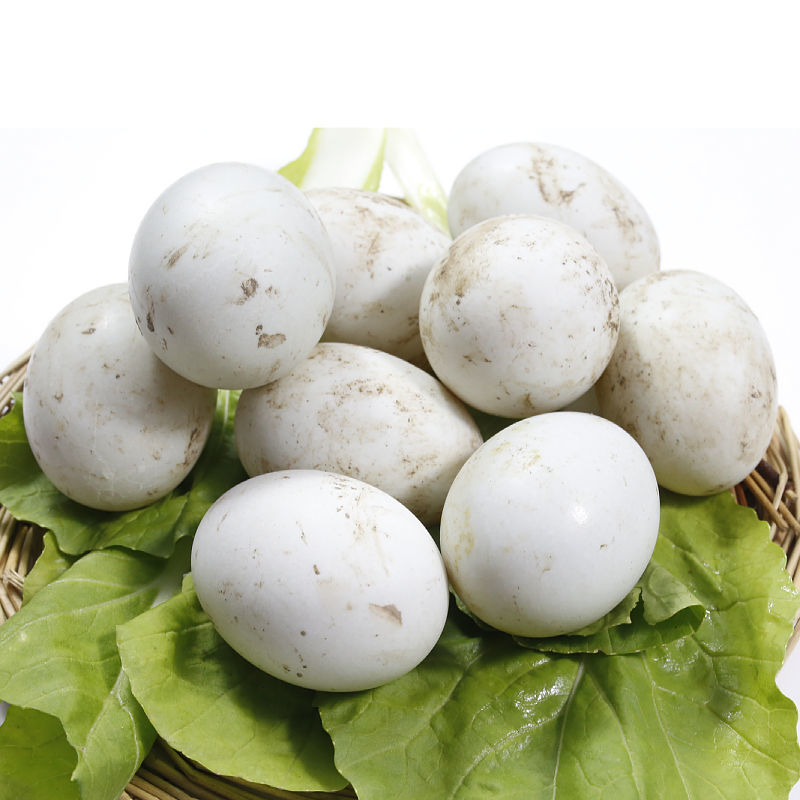 赛卡伊 [土鸭蛋农家散养]新鲜绿皮鸭蛋农村放养鸭蛋批发 70-80g[新鲜