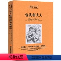 [中英互译]包法利夫人 [正版]世界十大名著全套中英文10册简爱傲慢与偏见飘巴黎圣母院悲惨世界呼啸山庄茶花女复活红与黑双