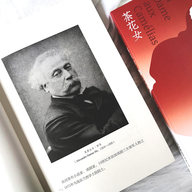 测试茶花女/(法)小仲马著,李玉民译测试