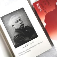 测试茶花女/(法)小仲马著,李玉民译测试