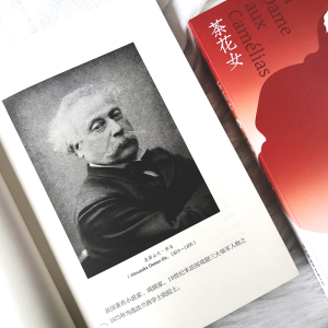 测试茶花女/(法)小仲马著,李玉民译测试