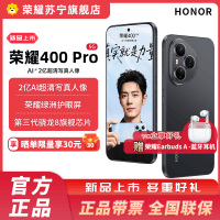 赠蓝牙耳机 荣耀400 Pro 16GB+512GB 幻夜黑 5G智能手机