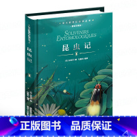 [精装硬壳]昆虫记 [正版]精装硬壳 朝花夕拾骆驼祥子昆虫记森林报 小学生初中生三四五六七年级课外阅读书籍青少年版世界名