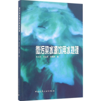 音像微污染水源饮用水处理王占生 等 著