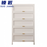 锁匠 钢制鞋柜80cm个