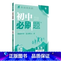 生物RJ 八年级下 [正版]2023春初中数学八年级下册人教北师外研版 初二语文英语同步训练习册8年级物理化学生物历史地