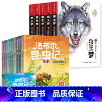 [全套15册]狼王梦+法布尔昆虫记 [正版]狼王梦沈石溪全套5册动物小说全集画本系列小学生三年级四五六年级漫画注音版小学