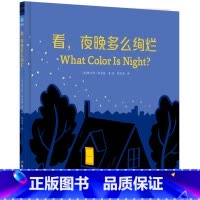 看,夜晚多么绚烂 [正版]看 夜晚多么绚烂 3-6岁 格兰特·斯奈德 著 帮助孩子克服黑夜恐惧情绪 提升色彩感知力 培养