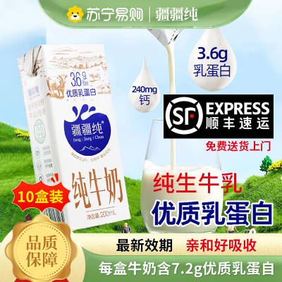 疆疆纯纯牛奶200ml*10盒3.6g优质乳蛋白成人儿童学生营养早餐奶