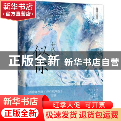 正版 似风似梦似你 北风三百里 江苏凤凰文艺出版社 978755945906