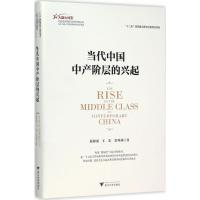 正版新书]当代中国中产阶层的兴起苏海南9787308152303