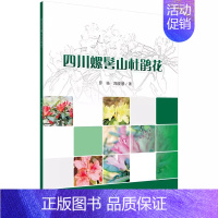 [正版] 四川螺髻山杜鹃花罗强郑晓慧学生螺髻山旅游者风景名胜区历史文化保护城市工程设计规范世界风景旅游开发游玩假期参考