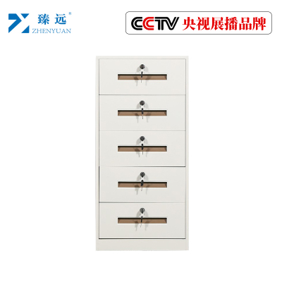 臻远钢制带锁铁皮柜资料柜储物柜 五抽白色