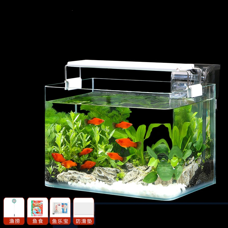 懒人生态鱼缸水族米妮箱客厅小型免换水自循环家用迷你桌面金鱼小鱼缸