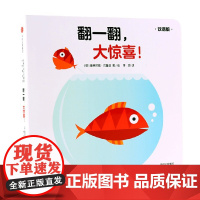 翻一翻 大惊喜 创意大师拉拉翻翻大惊喜系列 0-2岁 奥格尼兹·巴鲁兹 著 幼儿启蒙