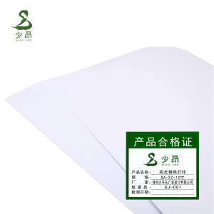 少昂 照片冲洗 SA-XZ-10寸 张