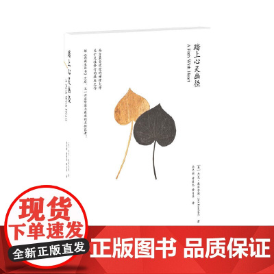踏上心灵的幽径(继《西藏生死书》之后又一开启智慧与慈悲的灵性巨著) 康菲尔德 深圳报业集团出版社 正版书籍
