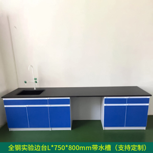 阿拉贡全钢实验台钢木PP边台柜试验台化验室工作台实验室桌操作台定制(每米单价)[工厂现做 7天内发货]