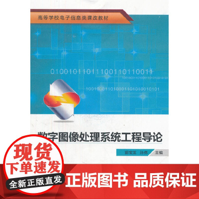 数字图像处理系统工程导论