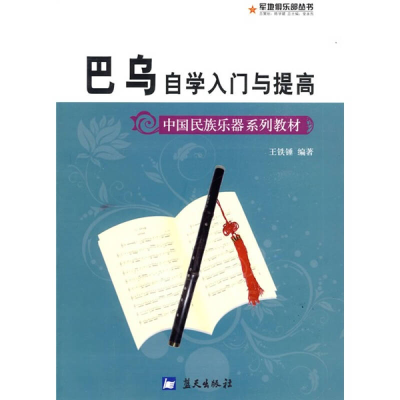 正版新书]巴乌自学入门与提高王铁锤9787801584649