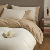 A类高端加厚磨毛床上四件套全棉纯棉床单床笠新款秋冬季床品