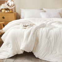 莱依瑾LYEEGIN 棉被 新疆棉 180*220cm6斤 张